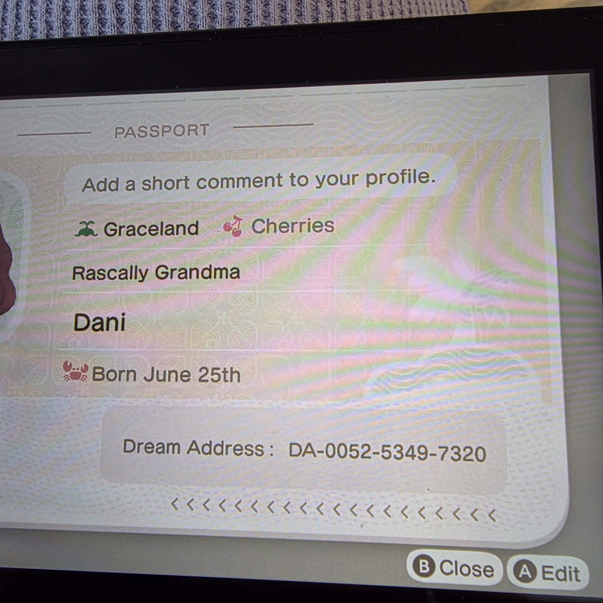 ACNH Lake Resor Dream Address