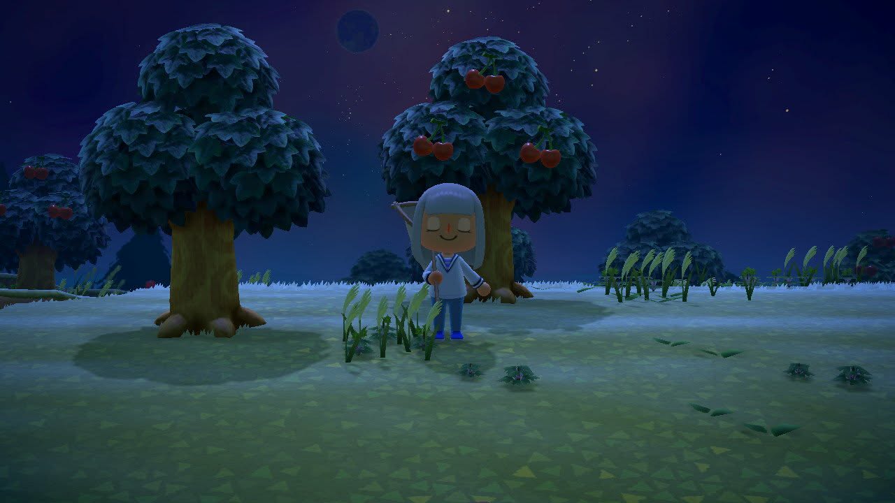 Starting an ACNH Island from Scratch – Remember That?